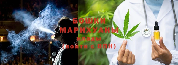 мдпв Осташков