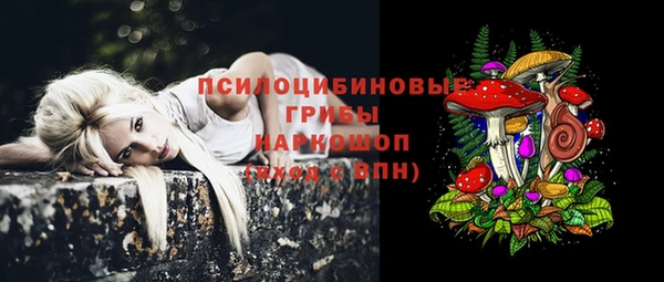 прущий лед Арсеньев