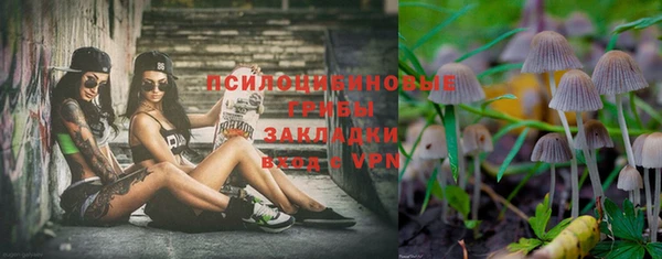 прущий лед Арсеньев